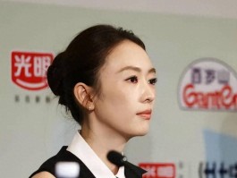 张国立也没想到那个被他儿子暴打的童瑶早已让他们高攀不上